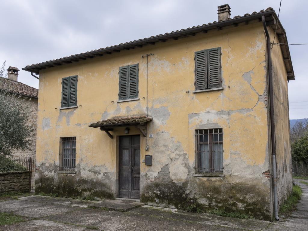 Trattamento muffe e umidità